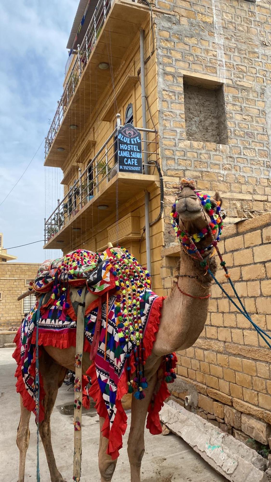 Blue Eye Hostel Jaisalmer Ngoại thất bức ảnh